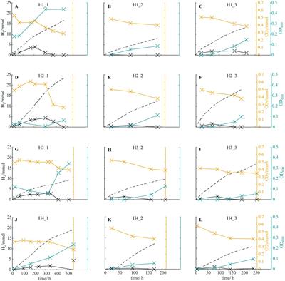 Enrichment of halotolerant hydrogen-oxidizing bacteria and production of high-value-added chemical hydroxyectoine using a hybrid biological–inorganic system